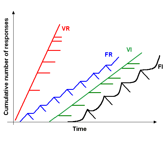 操作性条件反射四种强化程序的累积记录：固定比率 FR、可变比率 VR、固定间隔 FI、可变间隔 VI 的累积反应曲线对比